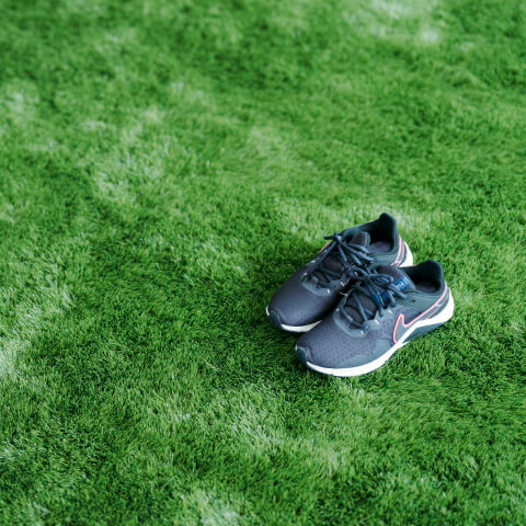 画像：芝生の上で遊ぶように